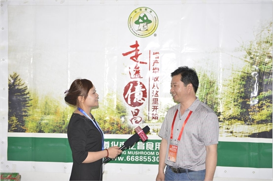 2014.05.11鄭州會(huì)議期間：中國(guó)食用菌商務(wù)網(wǎng)記著采訪億昌菌業(yè)張東平-億昌菌業(yè).JPG