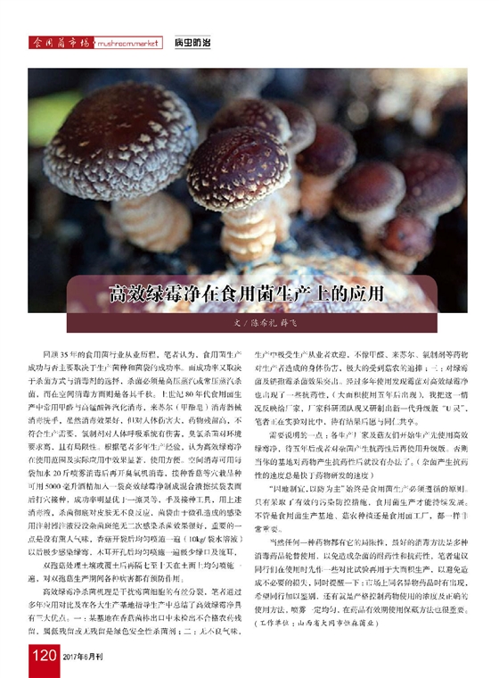 《高效綠霉凈在食用菌生產(chǎn)上的應(yīng)用》食用菌市場2017年第6期-陳希禮.jpg