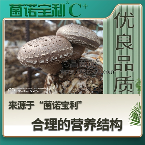 億昌菌業(yè)菌諾寶利C+：注水C+（網(wǎng)頁(yè)版）PC-4（優(yōu)良品質(zhì)，來(lái)自于&ldquo;菌諾寶利&rdquo;合理的營(yíng)養(yǎng)結(jié)構(gòu)）.png