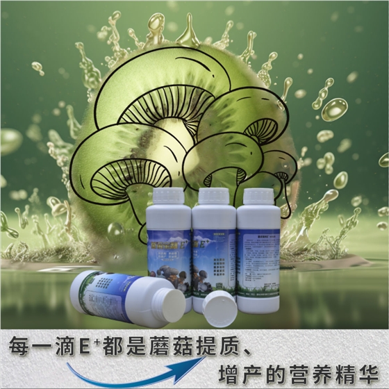 菌諾寶利E+（網(wǎng)頁-11）每一滴E+都是蘑菇長大、長厚的營養(yǎng)精華