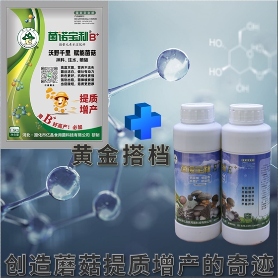 億昌菌業(yè)-菌諾寶利E+（網(wǎng)頁-8）黃金搭檔，創(chuàng)造蘑菇提質增產(chǎn)的奇跡
