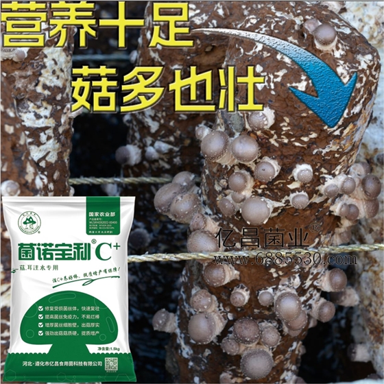 億昌菌業(yè)-注水C+（網(wǎng)頁(yè)版）PC-7）營(yíng)養(yǎng)十足，菇多也壯