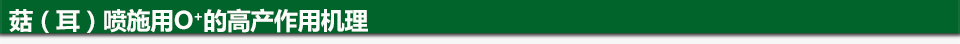 噴施O+高產作用機理（960&times;44）.jpg
