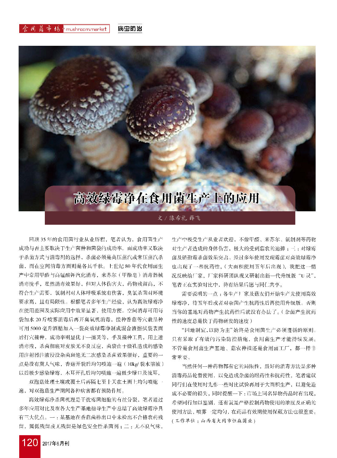 《高效綠霉凈在食用菌生產(chǎn)上的應(yīng)用》食用菌市場(chǎng)2017年第6期-陳希禮.jpg 《高效綠霉凈在食用菌生產(chǎn)上的應(yīng)用》食用菌市場(chǎng)2017年第6期-陳希禮.jpg