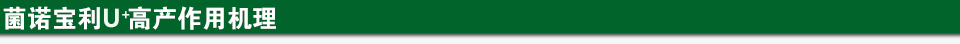 菌諾寶利U+高產(chǎn)作用機理.jpg 菌諾寶利U+高產(chǎn)作用機理.jpg