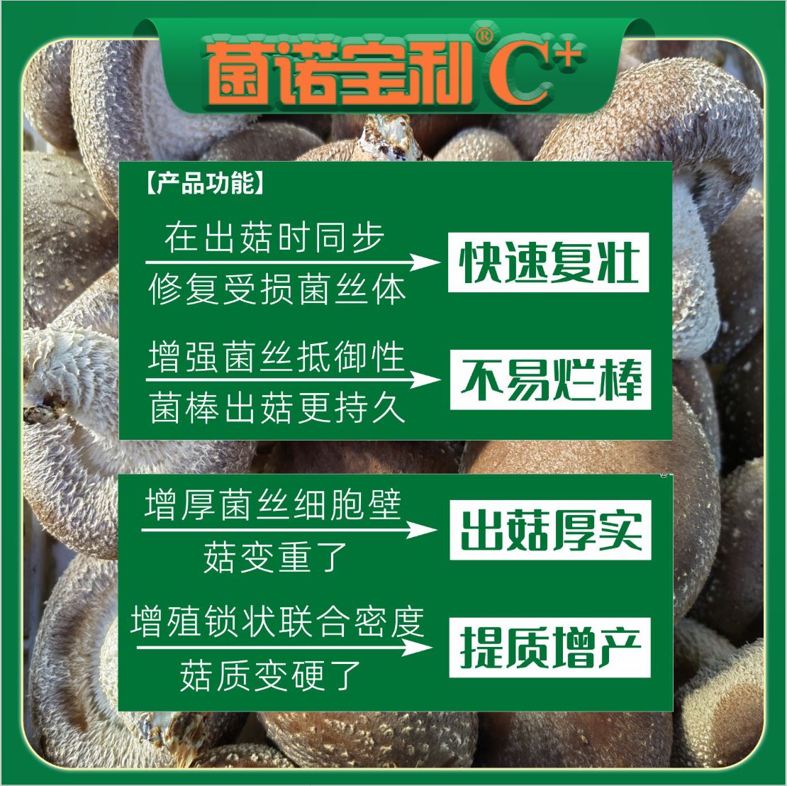 億昌菌業(yè)-2024注水C+（網(wǎng)頁版）PC-8）產(chǎn)品功能