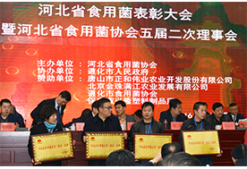 2016.12.10“億昌菌業(yè)”被授予“河北省食用菌優(yōu)秀（特色）品牌”榮譽(yù)稱號(hào)，張東平（左三）接授縮略圖