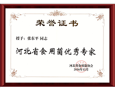 2016河北省食用菌優(yōu)秀專家-億昌菌業(yè)