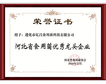 2016河北省食用菌優(yōu)秀龍頭企業(yè)-億昌菌業(yè)