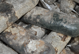 食用菌競爭性雜菌的防治方法，億昌菌業(yè)專家給您出高招