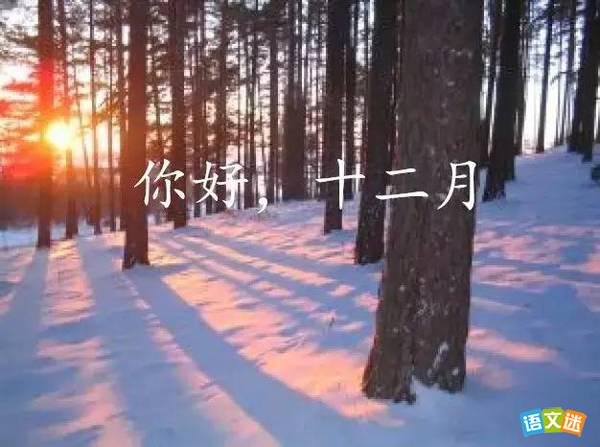 十二月份菌事活動-億昌菌業(yè)