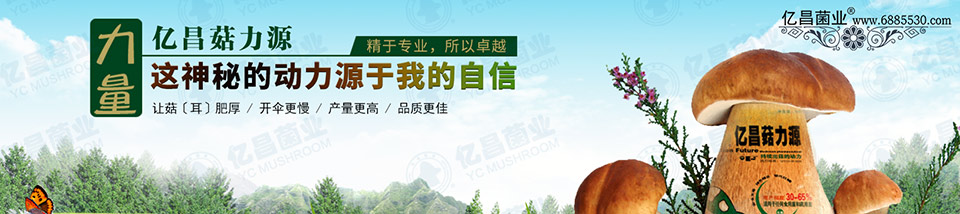 億昌菇力源——讓菇（耳）肥厚、開傘更慢、產(chǎn)量更高、品質(zhì)更佳