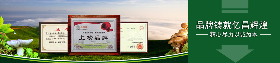 精心盡力以誠(chéng)為本，品牌鑄就億昌輝煌！